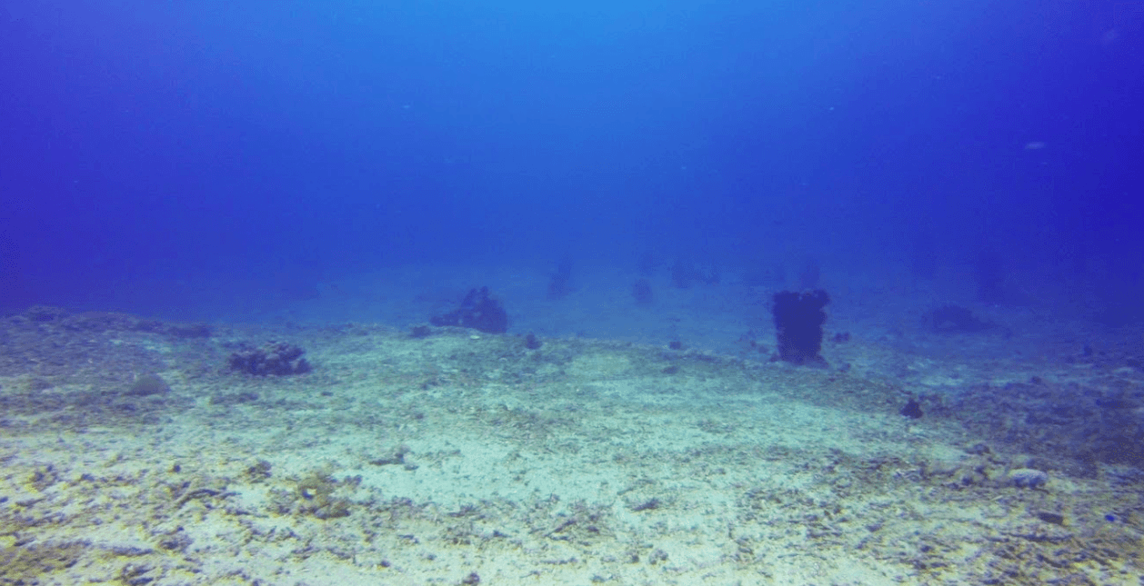 Bare seabed covered in broken coral rubble before restoration