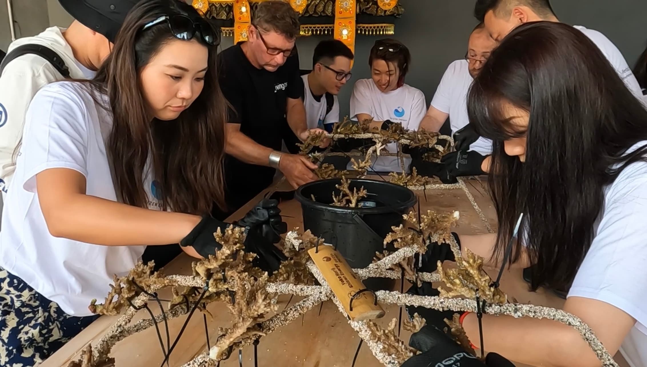 A group in matching t-shirts attaching coral fragments to a reef structure together